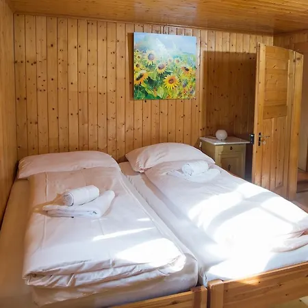 Large Alpine House For 10 With Panoramic View Feriehus