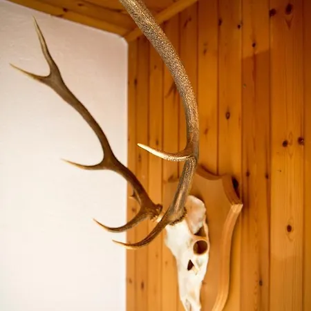 Haus - Davos Prázdninový dům