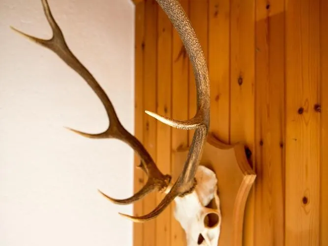 Haus - Davos Tatil Evi